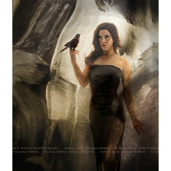 Black Wings Studio / Gallery - Picture 2 of 8